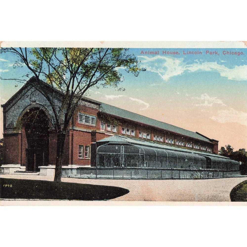 Vintage 1915 Animal House Lincoln Park Chicago Postcard Gerson Bros VG - Picture 1 of 2